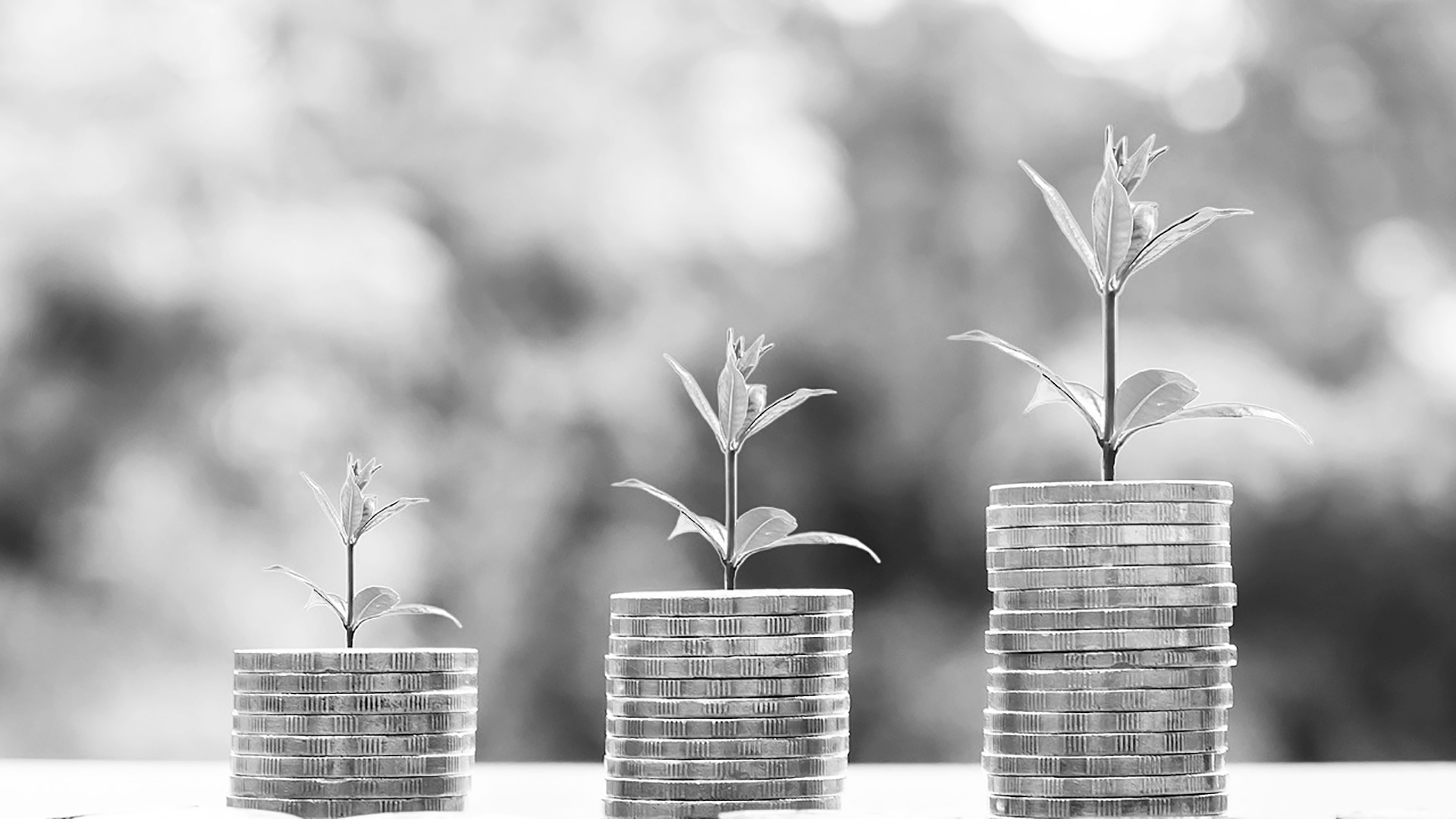 Brunnenin blogi: Value of PR